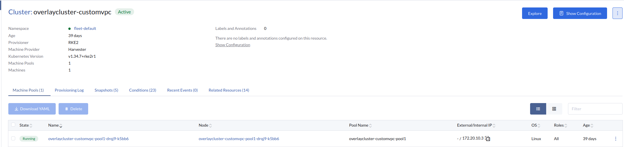 Virtual machine provisioned as a downstream cluster node