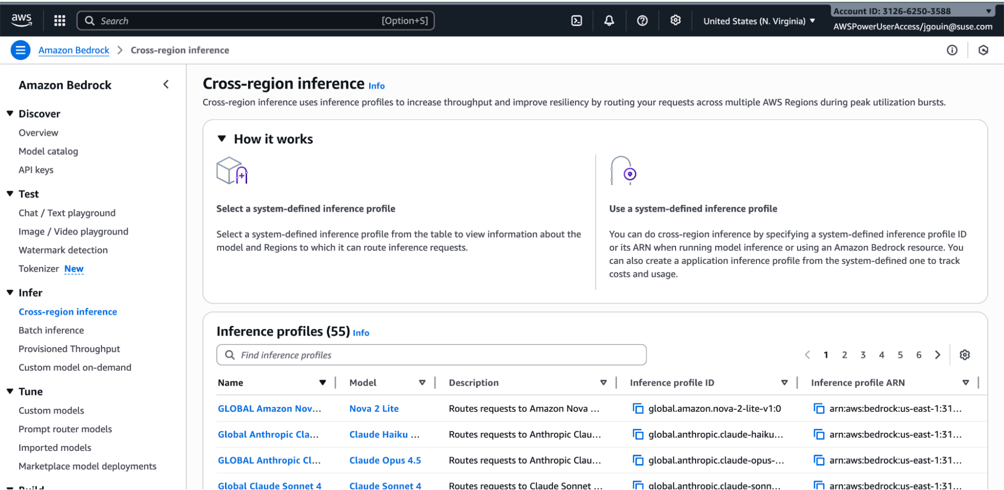 AWS Bedrock configuration screen